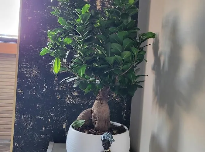 La Mirage & Апартаменты *