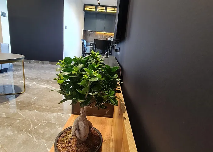 La Mirage & Appartement Tirana