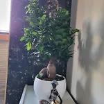 La Mirage & Apartmán *