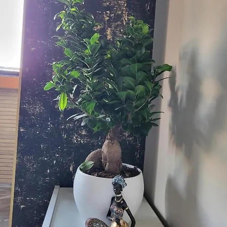 La Mirage Suites&apartments Apartamento *